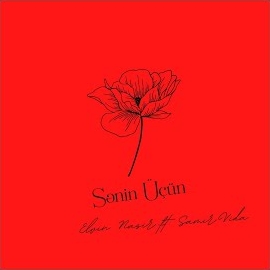 Elvin Nasir - Sənin Üçün (Feat. Samir Vida) mp3 скачать